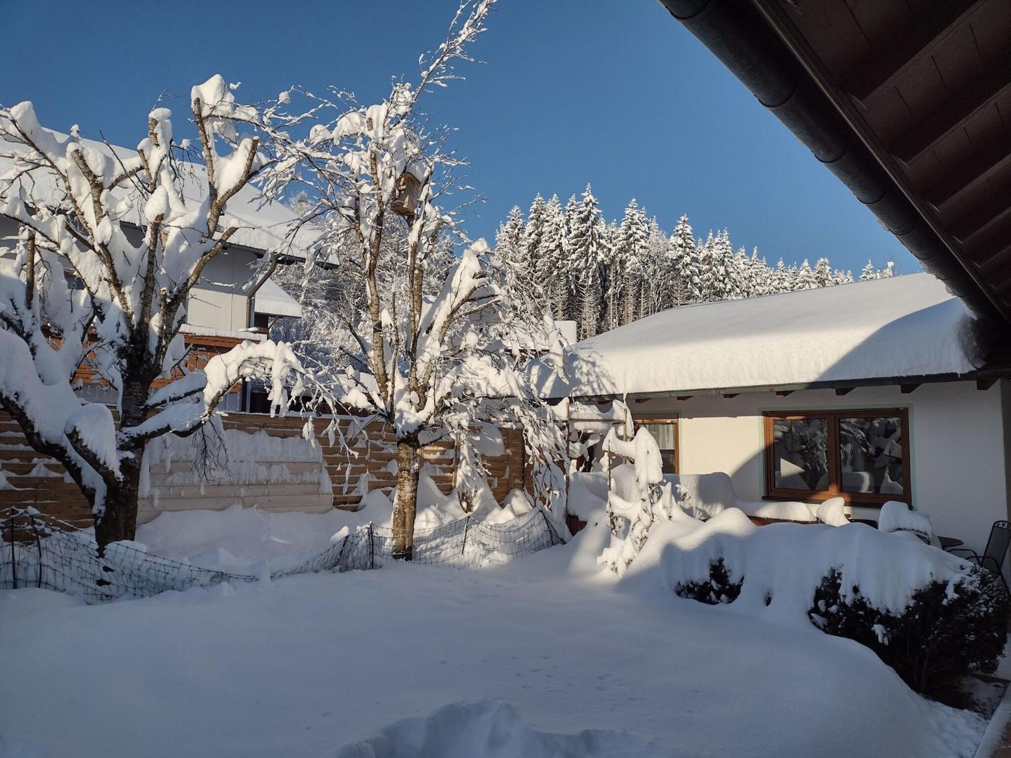 Cosy Holiday Home With Sauna In The Allg U Burggen Eksteriør billede